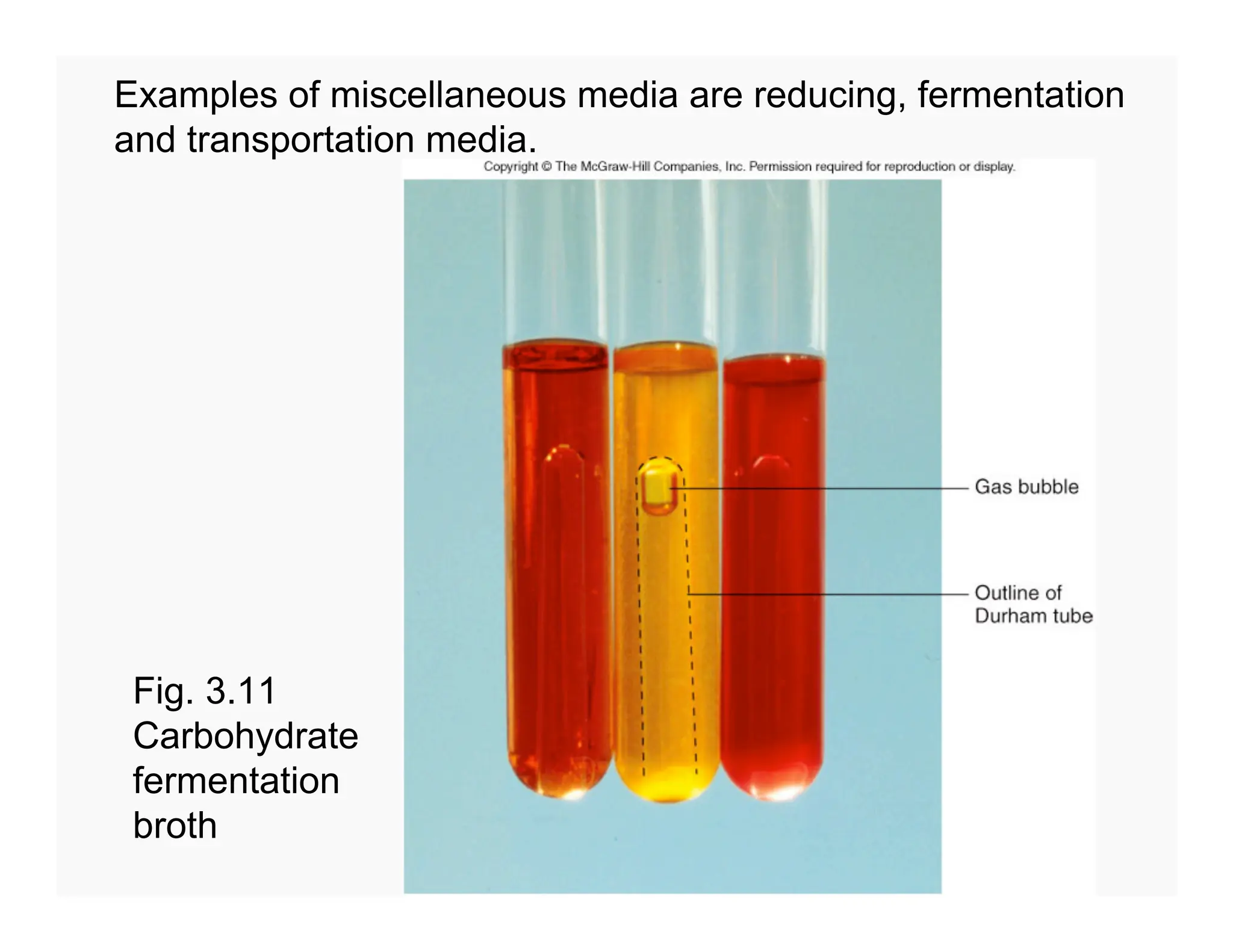 97
Examples of miscellaneous media are reducing, fermentation
and transportation media.
Fig. 3.11
Carbohydrate
fermentation
broth
 