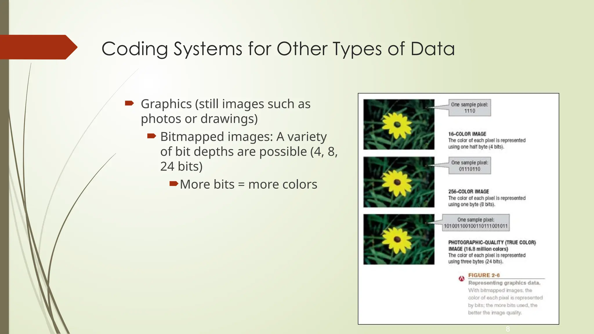 8
Coding Systems for Other Types of Data
 Graphics (still images such as
photos or drawings)
 Bitmapped images: A variety
of bit depths are possible (4, 8,
24 bits)
More bits = more colors
 