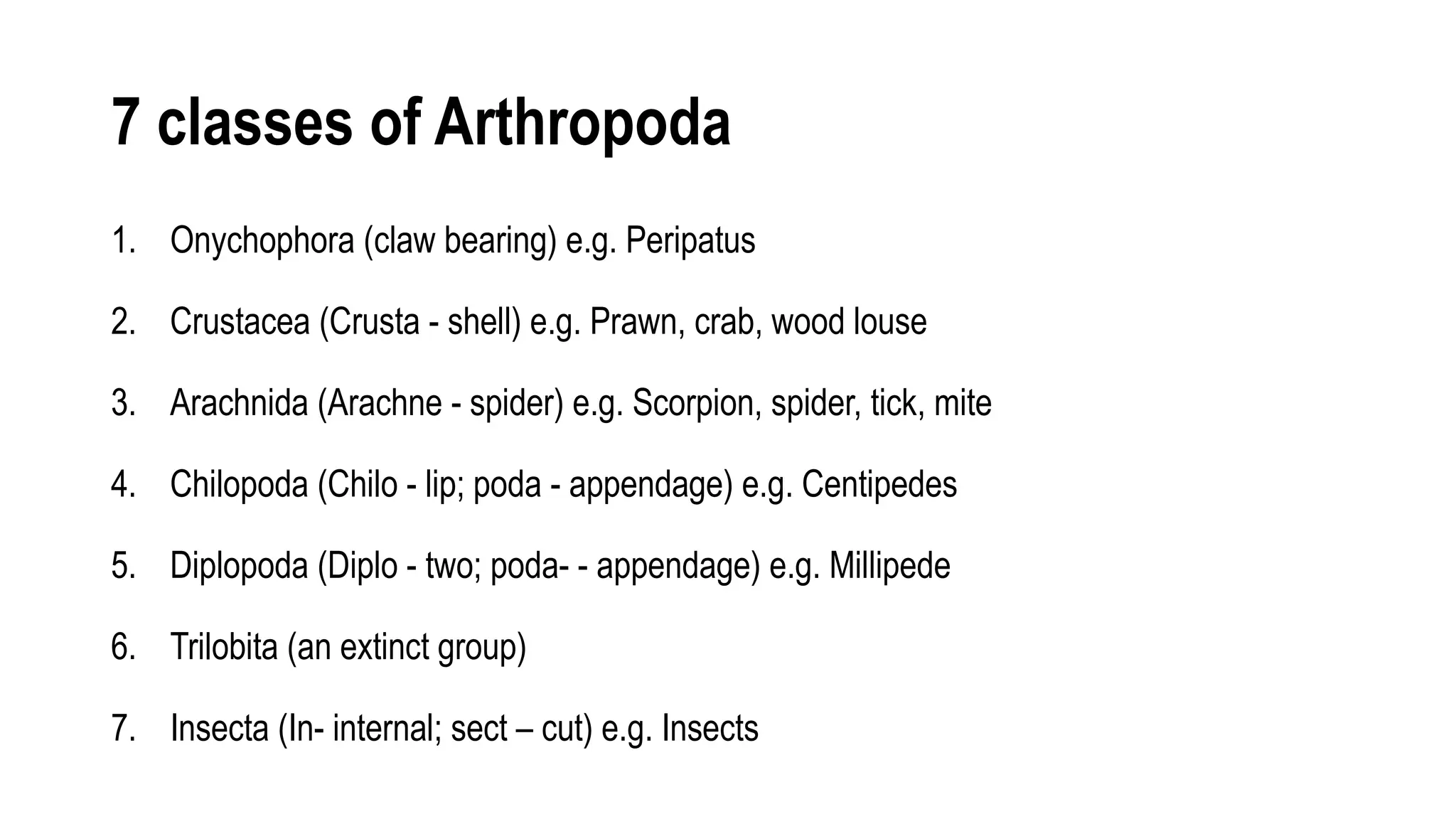 Dominance of insects, classification of phylum arthropoda | PPTX