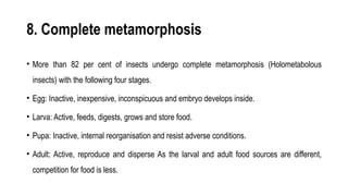 Dominance of insects, classification of phylum arthropoda | PPTX