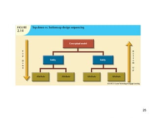 Database System Development Lifecycle (Chapter) | PPTX