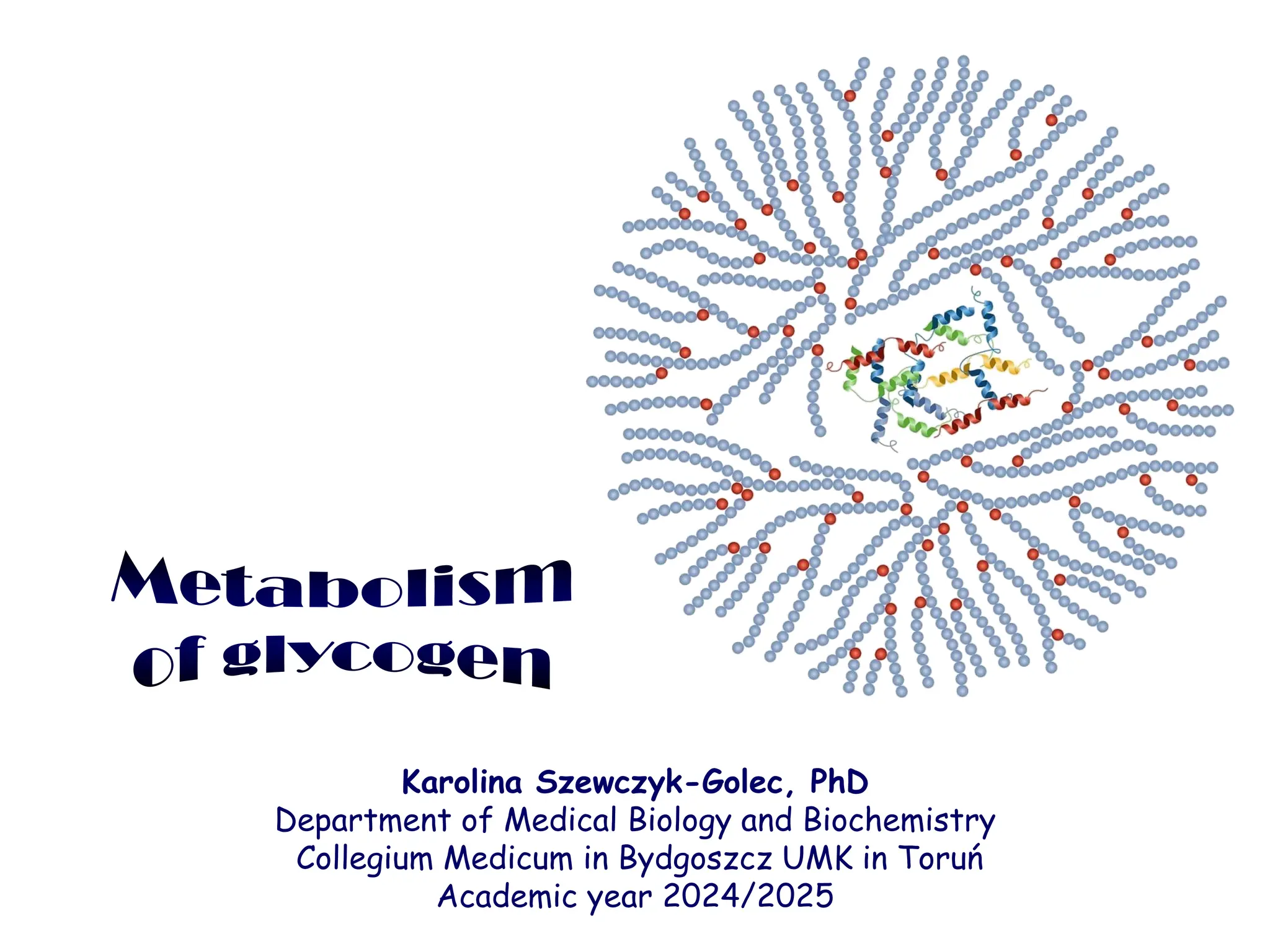 Metabolism
of glycogen
Karolina Szewczyk-Golec, PhD
Department of Medical Biology and Biochemistry
Collegium Medicum in Bydgoszcz UMK in Toruń
Academic year 2024/2025
 