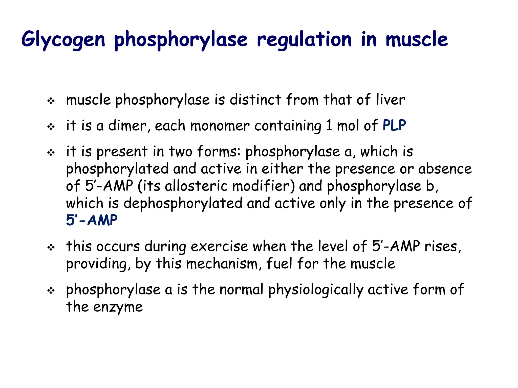Glycogen phosphorylase regulation in muscle
❖ muscle phosphorylase is distinct from that of liver
❖ it is a dimer, each monomer containing 1 mol of PLP
❖ it is present in two forms: phosphorylase a, which is
phosphorylated and active in either the presence or absence
of 5′-AMP (its allosteric modifier) and phosphorylase b,
which is dephosphorylated and active only in the presence of
5′-AMP
❖ this occurs during exercise when the level of 5′-AMP rises,
providing, by this mechanism, fuel for the muscle
❖ phosphorylase a is the normal physiologically active form of
the enzyme
 