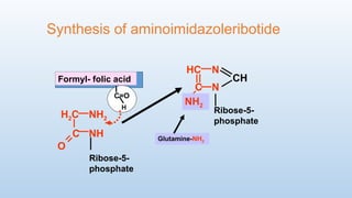 Formylglycinamide Ribotide Synthesis and degradation of nucleotides. DNA replication. Synthesis of ...