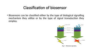 Comprehensive Classification and Design Principles of Biosensors in ...