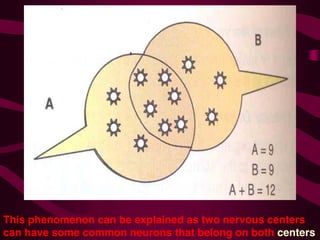 NERVOUS REGULATION OF FUNCTIONS . EXCITATION AND INHIBITION IN CNS | PDF