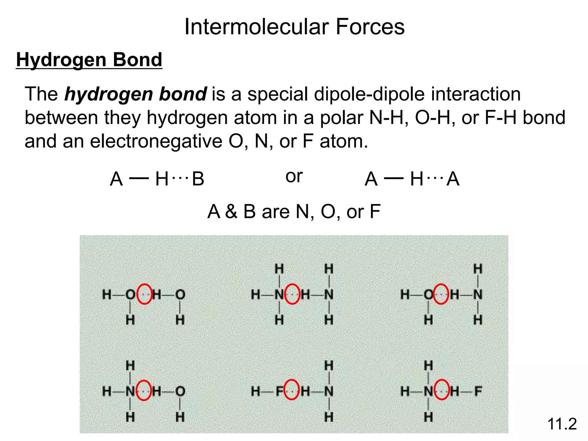 Intermolecular Forces
Hydrogen Bond
11.2
The hydrogen bond is a special dipole-dipole interaction
between they hydrogen atom in a polar N-H, O-H, or F-H bond
and an electronegative O, N, or F atom.
A H…B A H…A
or
A & B are N, O, or F
 