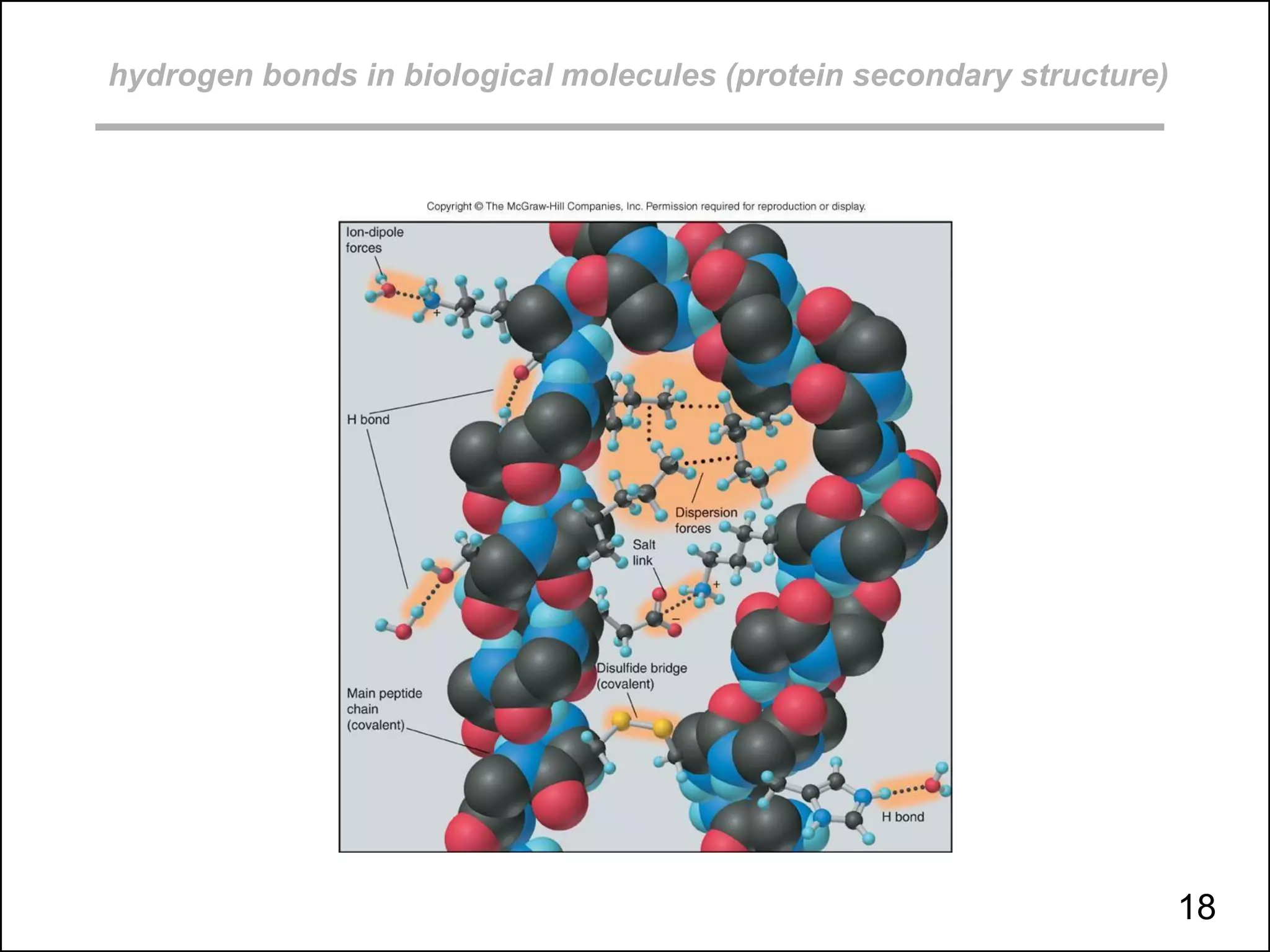 hydrogen bonds in biological molecules (protein secondary structure)
18
 