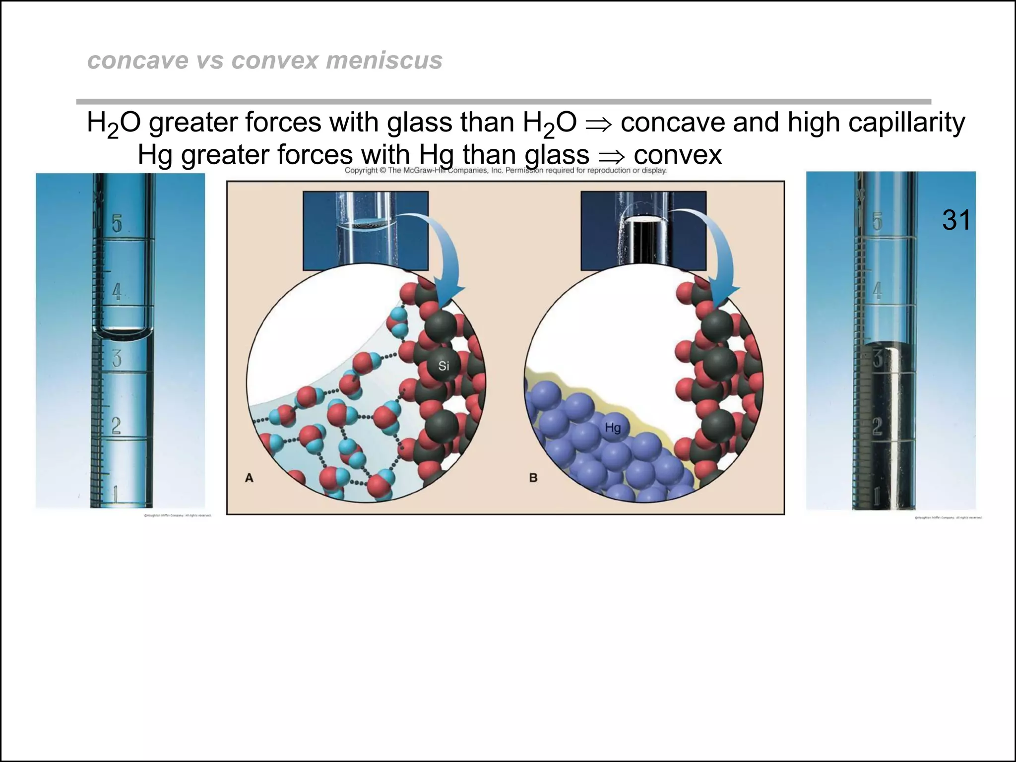 concave vs convex meniscus
H2O greater forces with glass than H2O  concave and high capillarity
Hg greater forces with Hg than glass  convex
31
 
