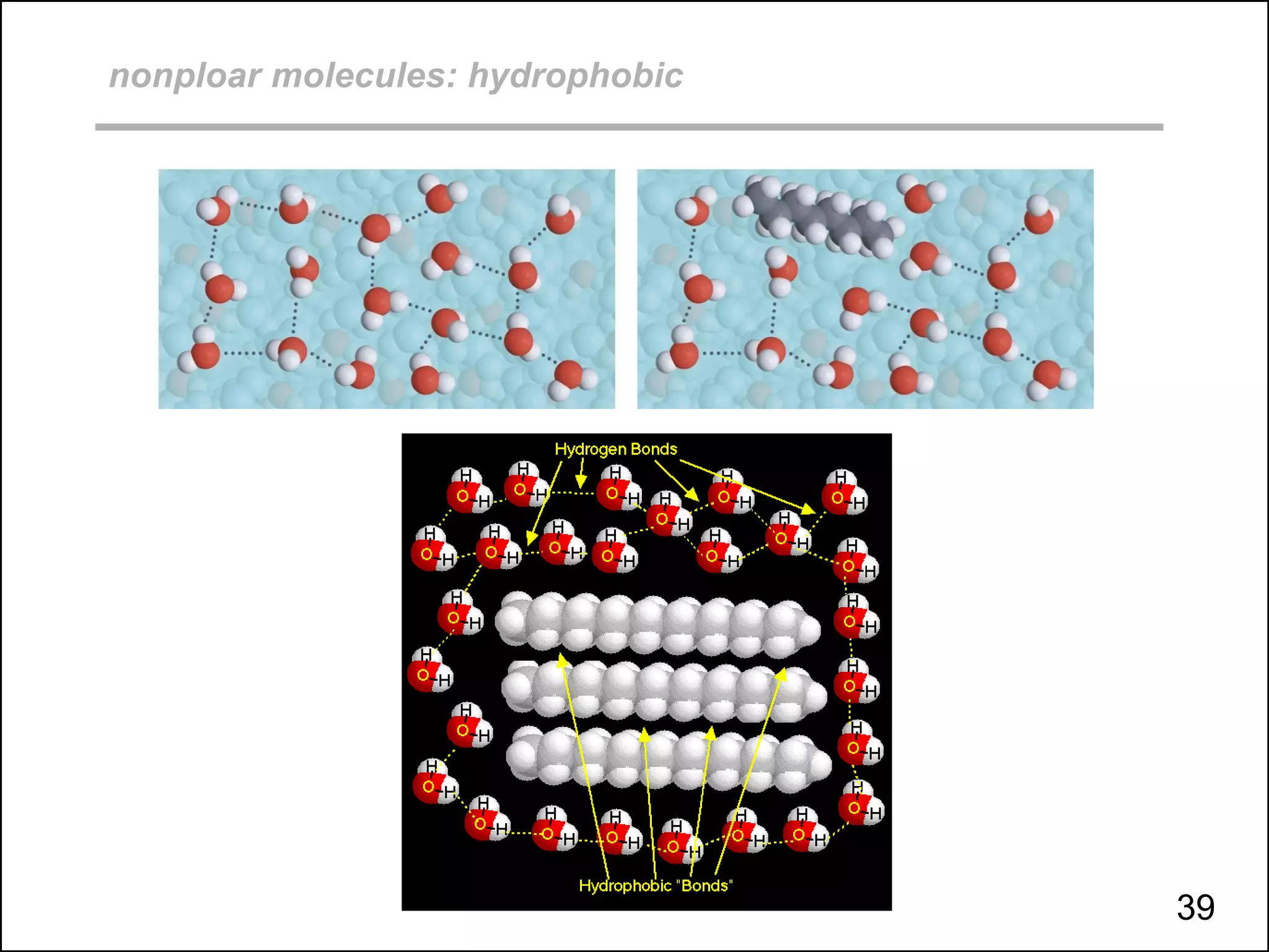 nonploar molecules: hydrophobic
39
 