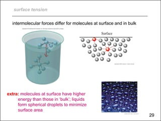 surface tension
intermolecular forces differ for molecules at surface and in bulk
extra: molecules at surface have higher
energy than those in ‘bulk’; liquids
form spherical droplets to minimize
surface area
29
 