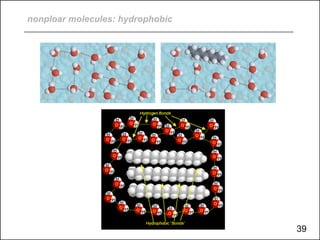 nonploar molecules: hydrophobic
39
 