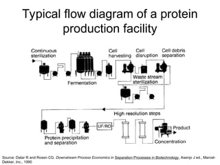 Comprehensive Overview of Downstream Processing in Biotechnology: From ...