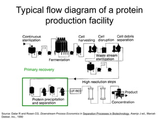 Protein Flow Comprehensive Overview of Downstream Processing in Biotechnology: From ...