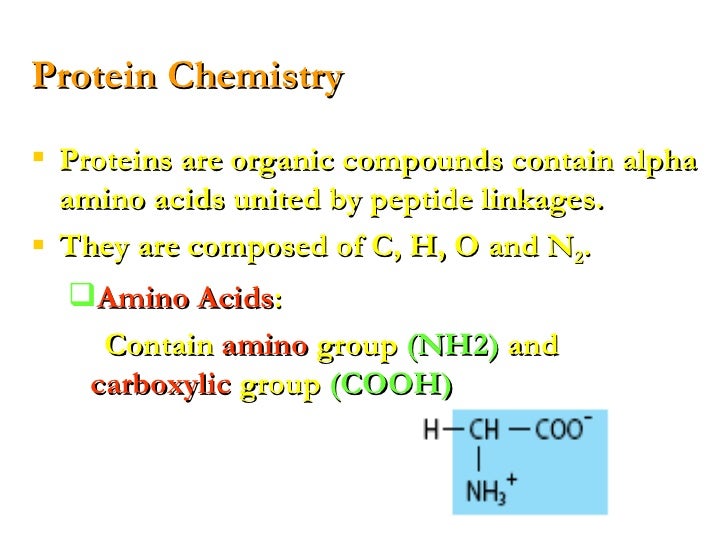 Lecture 2 3 protein chemistry