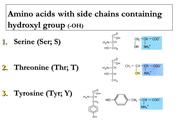 Lecture 2 3 protein chemistry