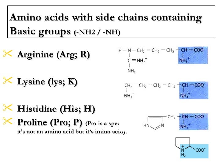 Lecture 2 3 protein chemistry