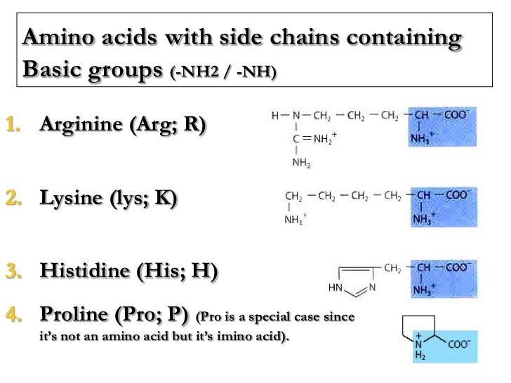 Lecture 2 3 protein chemistry