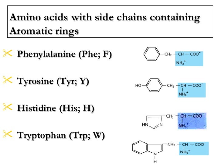 Lecture 2 3 protein chemistry