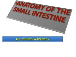 Dr. Jamila El-Medany
 