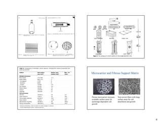 Microcarrier and Fibrous Support Matrix




Porous microcarrier increases   Non-woven fibers with large
available surface areas for     surface areas for cell
anchorage-dependent cell        attachment and growth
growth




                                                              6
 
