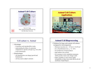 Animal Cell Culture                                           Animal Cell Culture
                                                                          Applications


                                                           •   Production of recombinant proteins
                                                           •   Production of MAb - Hybridoma
                                                           •   Study of cell biology
                   Prof. S.T. Yang
          Dept. Chemical & Biomolecular Eng.               •   Tissue engineering - artificial organs
               The Ohio State University                   •   in vitro cell toxicity and drug screening




       Cell culture vs. Animal                                     Animal Cell Bioprocessing
                                                           • Problems for large-scale animal cell cultures
• Advantages                                                 (compared to microorganism)
  – Consistency and reproducibility results
                                                               – Minimum inoculum size: ~105/ml or 1-5x104/cm2
  – understanding the effects of a particular
                                                               – low cell proliferation rate: tg = 12 - 48 h
    compound on a specific cell type (e.g., liver cells)
                                                               – low productivity of target products
  – avoid contaminants
                                                               – high medium costs (serum)
• Disadvantages
                                                               – low resistance to toxic metabolites (ammonia,
  – cell characteristics can change (growth and                  inhibit growth or lactic acid, change in pH)
    biochemical)
                                                               – higher sensibility to outer stimuli, higher
  – cell may need to adapt to nutrients                          susceptibility to shear stress (only thin & soft cell
                                                                 membrane of lipid bilayer)




                                                                                                                         1
 