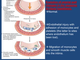 Lecture 2- atherosclerosis.ppt