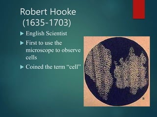 Robert Hooke
(1635-1703)
 English Scientist
 First to use the
microscope to observe
cells
 Coined the term “cell”
 