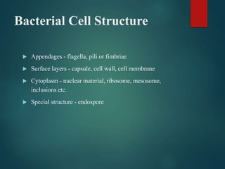 Bacterial Cell Structure
 Appendages - flagella, pili or fimbriae
 Surface layers - capsule, cell wall, cell membrane
 Cytoplasm - nuclear material, ribosome, mesosome,
inclusions etc.
 Special structure - endospore
 