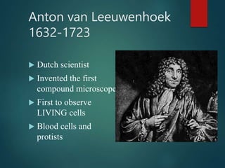 Anton van Leeuwenhoek
1632-1723
 Dutch scientist
 Invented the first
compound microscope
 First to observe
LIVING cells
 Blood cells and
protists
 