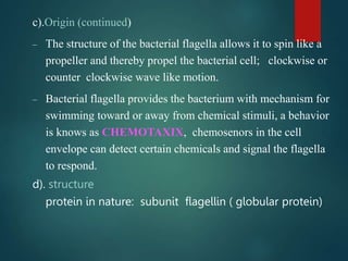c).Origin (continued)
– The structure of the bacterial flagella allows it to spin like a
propeller and thereby propel the bacterial cell; clockwise or
counter clockwise wave like motion.
– Bacterial flagella provides the bacterium with mechanism for
swimming toward or away from chemical stimuli, a behavior
is knows as CHEMOTAXIX, chemosenors in the cell
envelope can detect certain chemicals and signal the flagella
to respond.
d). structure
protein in nature: subunit flagellin ( globular protein)
 