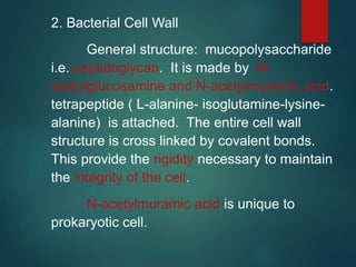 2. Bacterial Cell Wall
General structure: mucopolysaccharide
i.e. peptidoglycan. It is made by N-
acetylglucosamine and N-acetylmuramic acid.
tetrapeptide ( L-alanine- isoglutamine-lysine-
alanine) is attached. The entire cell wall
structure is cross linked by covalent bonds.
This provide the rigidity necessary to maintain
the integrity of the cell.
N-acetylmuramic acid is unique to
prokaryotic cell.
 