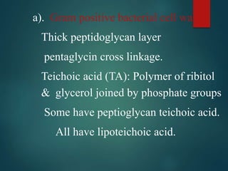 a). Gram positive bacterial cell wall
Thick peptidoglycan layer
pentaglycin cross linkage.
Teichoic acid (TA): Polymer of ribitol
& glycerol joined by phosphate groups
Some have peptioglycan teichoic acid.
All have lipoteichoic acid.
 