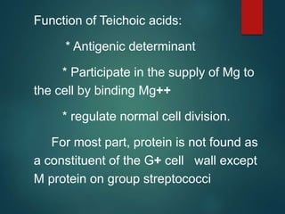 Function of Teichoic acids:
* Antigenic determinant
* Participate in the supply of Mg to
the cell by binding Mg++
* regulate normal cell division.
For most part, protein is not found as
a constituent of the G+ cell wall except
M protein on group streptococci
 