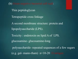(b) Gram negative bacterial cell wall:
Thin peptidoglycan
Tetrapeptide cross linkage
A second membrane structure: protein and
lipopolysaccharide (LPS).
Toxicity : endotoxin on lipid A of LPS.
glucosamine- glucosamine-long
polysaccharide- repeated sequences of a few sugars
(e.g. gal- mann-rham) n=10-20 O antigen
 