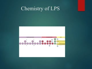Chemistry of LPS
 