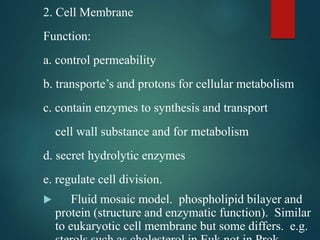 2. Cell Membrane
Function:
a. control permeability
b. transporte’s and protons for cellular metabolism
c. contain enzymes to synthesis and transport
cell wall substance and for metabolism
d. secret hydrolytic enzymes
e. regulate cell division.
 Fluid mosaic model. phospholipid bilayer and
protein (structure and enzymatic function). Similar
to eukaryotic cell membrane but some differs. e.g.
 