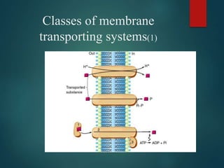 Classes of membrane
transporting systems(1)
 