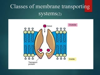 Classes of membrane transporting
systems(2)
 