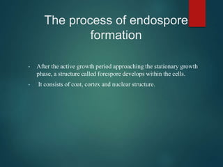 • After the active growth period approaching the stationary growth
phase, a structure called forespore develops within the cells.
• It consists of coat, cortex and nuclear structure.
The process of endospore
formation
 