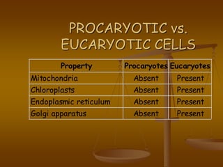 PROCARYOTIC vs.
EUCARYOTIC CELLS
Property Procaryotes Eucaryotes
Mitochondria Absent Present
Chloroplasts Absent Present
Endoplasmic reticulum Absent Present
Golgi apparatus Absent Present
 