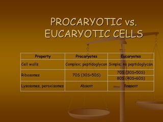 PROCARYOTIC vs.
EUCARYOTIC CELLS
Property Procaryotes Eucaryotes
70S (30S+50S)
80S (40S+60S)
Lysosomes, peroxisomes Absent Present
Cell walls
Ribosomes
Complex; peptidoglycan Simple; no peptidoglycan
70S (30S+50S)
 