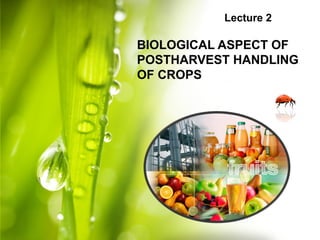 Lecture 2
BIOLOGICAL ASPECT OF
POSTHARVEST HANDLING
OF CROPS
 