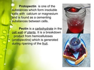 Lecture 2: Biological Aspect of Postharvest Handling of Crops | PPT