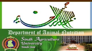 Department of Animal Nutrition
 