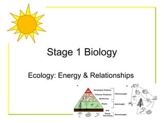 Stage 1 Biology
Ecology: Energy & Relationships
 