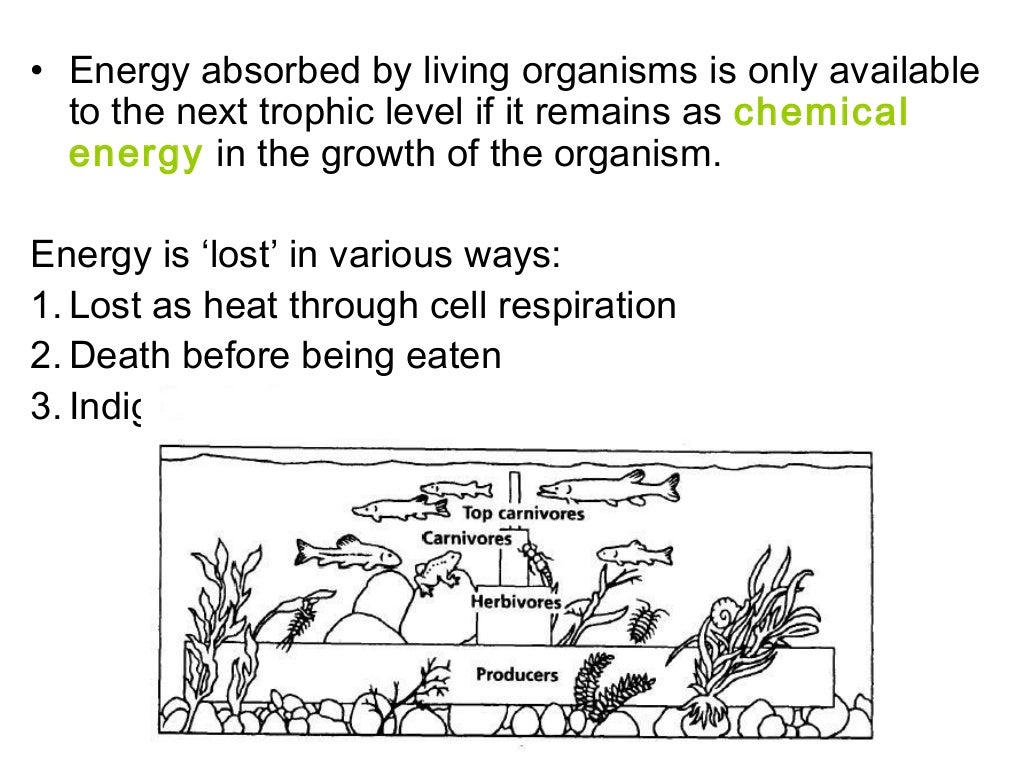 Lecture 2 energy & relationships