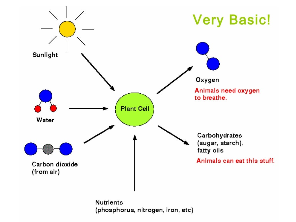 Lecture 2 energy & relationships