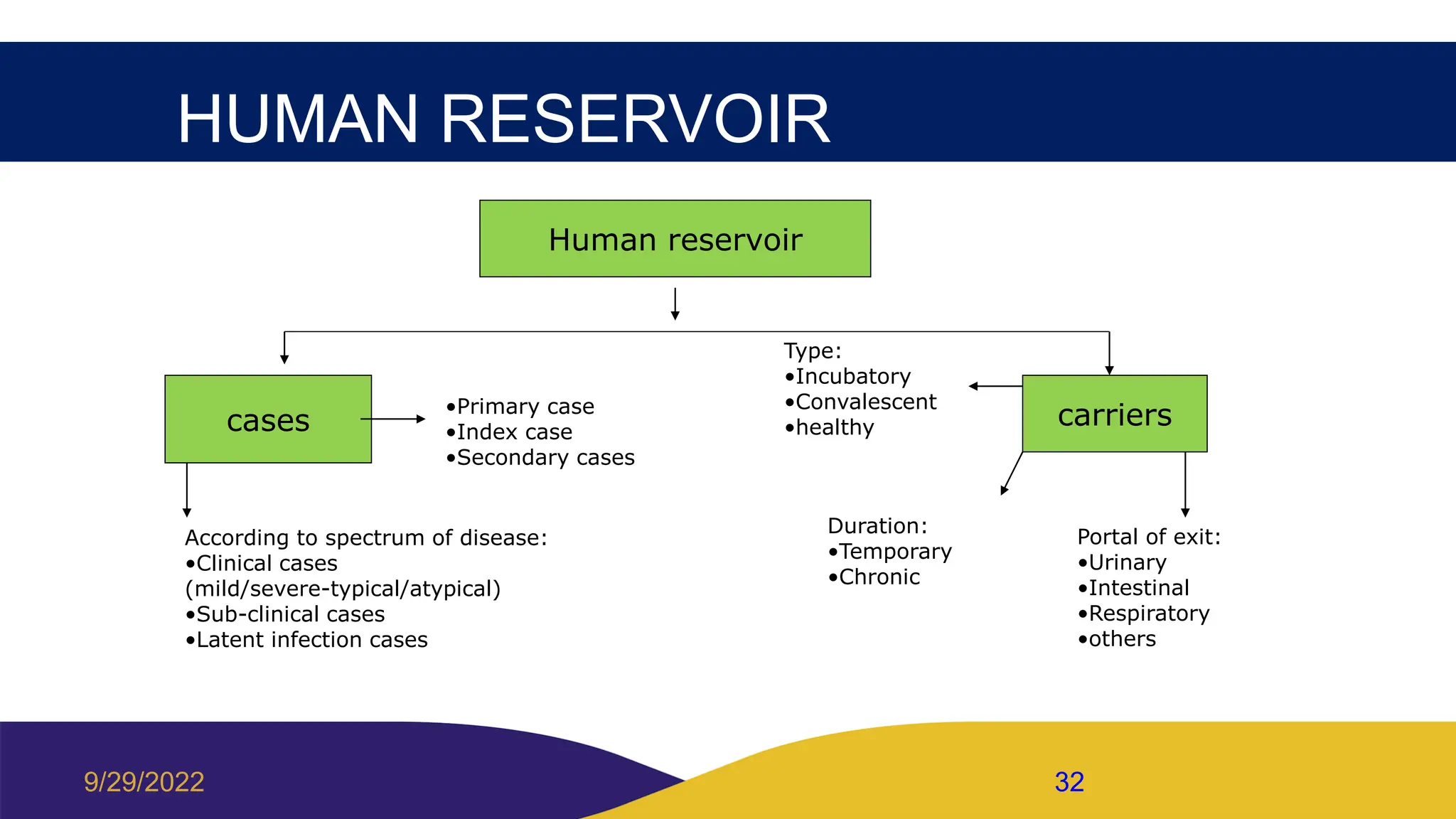 HUMAN RESERVOIR
Human reservoir
cases carriers
According to spectrum of disease:
•Clinical cases
(mild/severe-typical/atypical)
•Sub-clinical cases
•Latent infection cases
•Primary case
•Index case
•Secondary cases
Type:
•Incubatory
•Convalescent
•healthy
Duration:
•Temporary
•Chronic
Portal of exit:
•Urinary
•Intestinal
•Respiratory
•others
9/29/2022 32
 