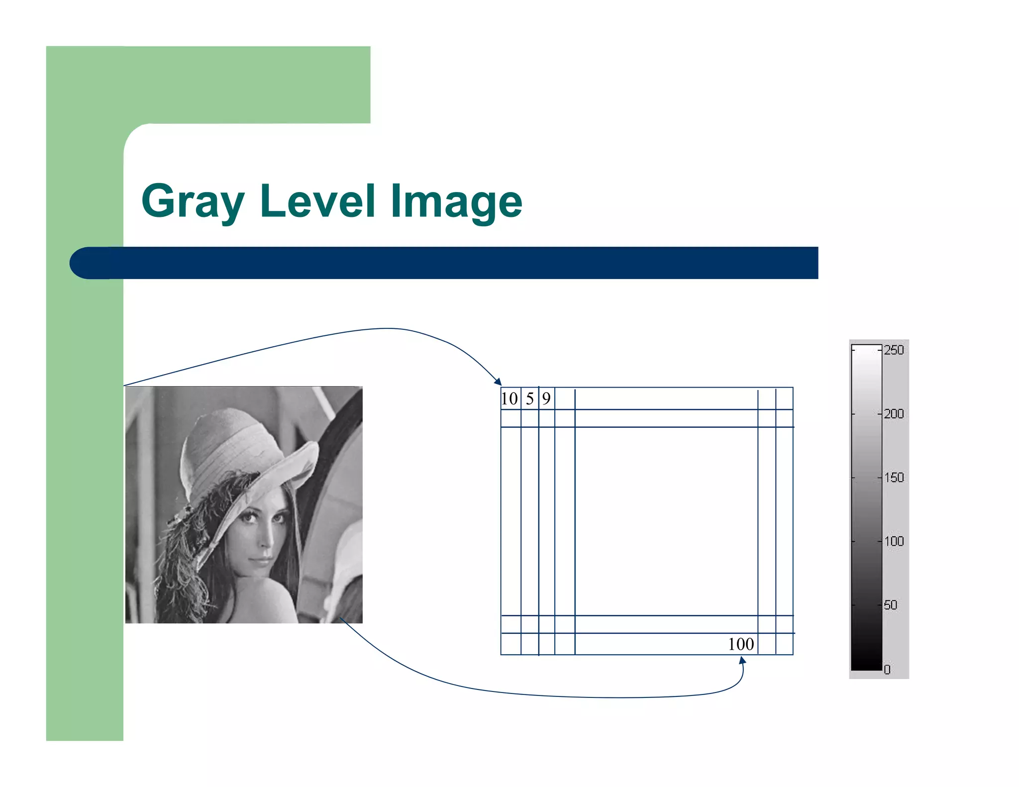 Gray Level Image
10 5 9
100
 